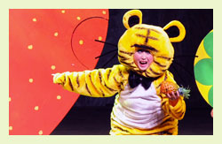 �鿴��������