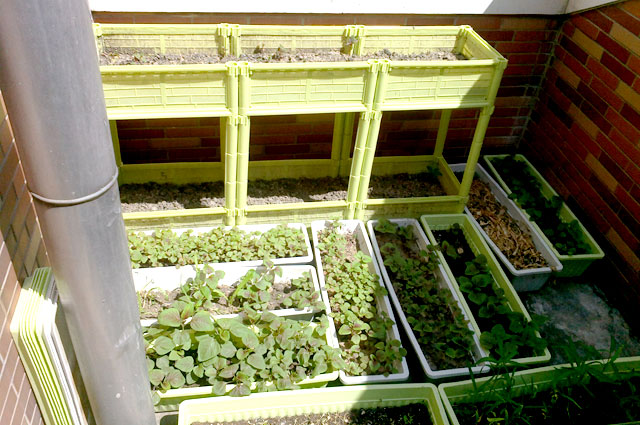 image01