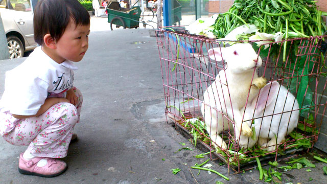 image01